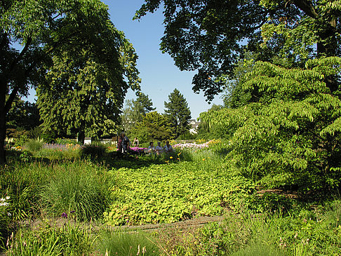 Foto Planten un Blomen - Gärten