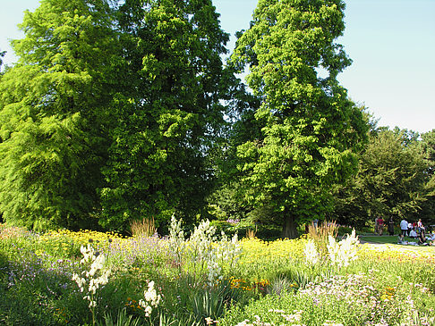Foto Planten un Blomen - Gärten
