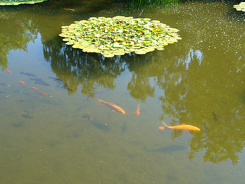 Planten un Blomen - Wasserkaskaden