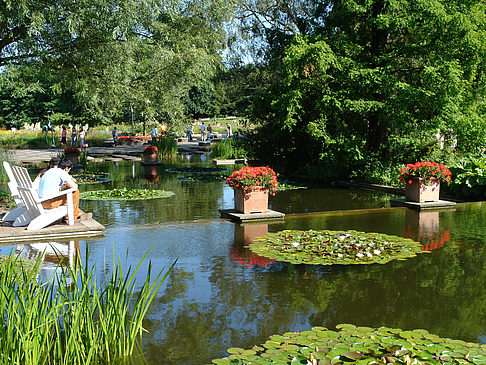 Planten un Blomen - Wasserkaskaden Foto 