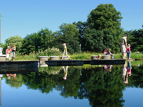 Foto Planten un Blomen - Wasserkaskaden