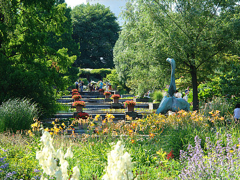 Foto Planten un Blomen - Wasserkaskaden