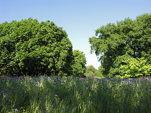 Planten un Blomen - Wasserkaskaden