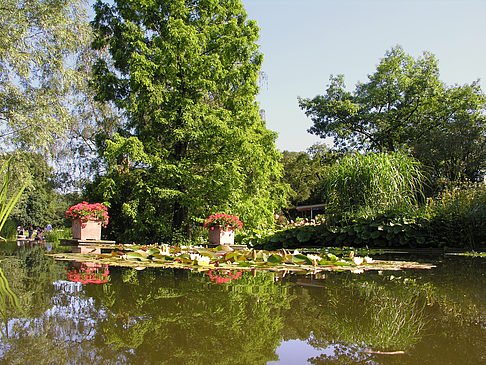 Foto Planten un Blomen - Wasserkaskaden