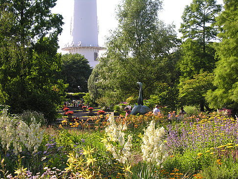 Fotos Planten un Blomen - Wasserkaskaden | Hamburg