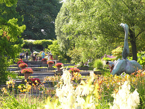 Foto Planten un Blomen - Wasserkaskaden - Hamburg