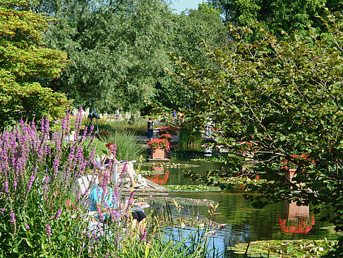Foto Planten un Blomen - Wasserkaskaden - Hamburg