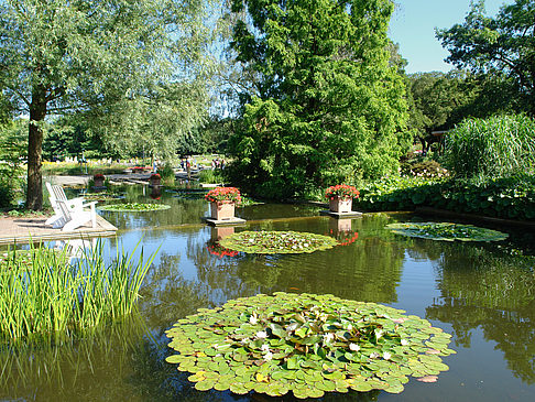 Planten un Blomen - Wasserkaskaden Foto 