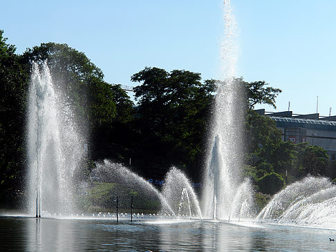 Foto Planten un Blomen - Springbrunnen