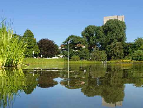 Fotos Planten un Blomen - Wiese am Parksee | Hamburg