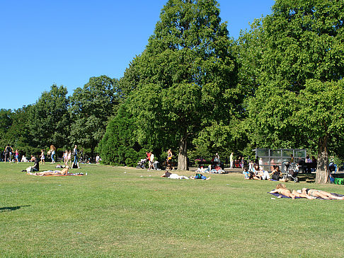 Foto Planten un Blomen - Wiese am Parksee