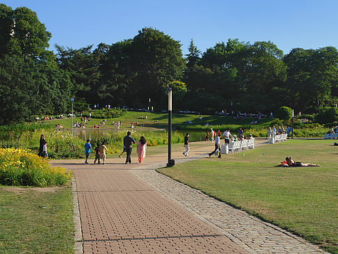Fotos Planten un Blomen - Wiese am Parksee | Hamburg