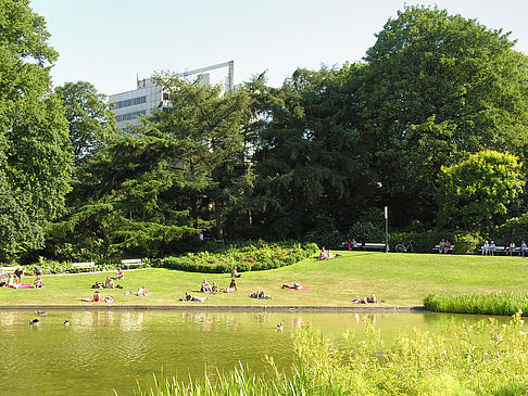 Foto Planten un Blomen - Wiese am Parksee - Hamburg