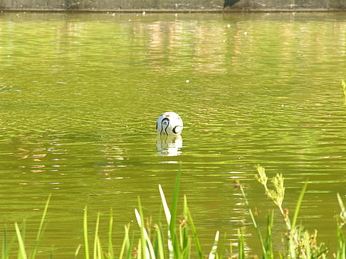 Foto Planten un Blomen - Wiese am Parksee - Hamburg