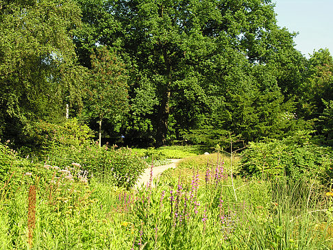 Planten un Blomen - Wiese am Parksee