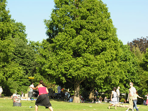 Foto Planten un Blomen - Wiese am Parksee