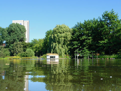 Fotos Planten un Blomen - Wiese am Parksee