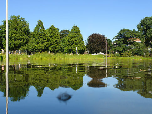 Foto Planten un Blomen - Wiese am Parksee