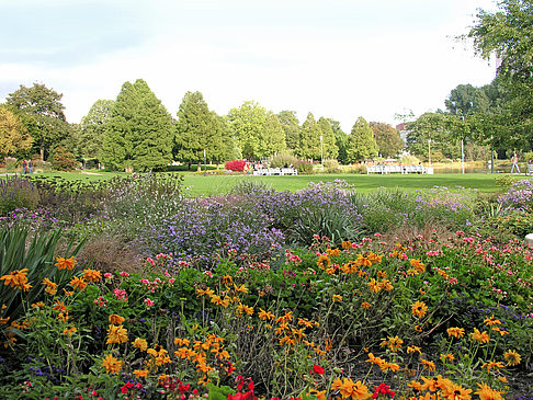 Planten un Blomen