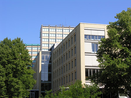 Foto Universität Hamburg - Hamburg