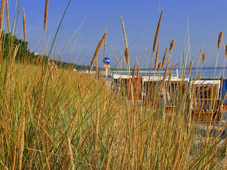 Foto Dünen - Ostseebad Binz