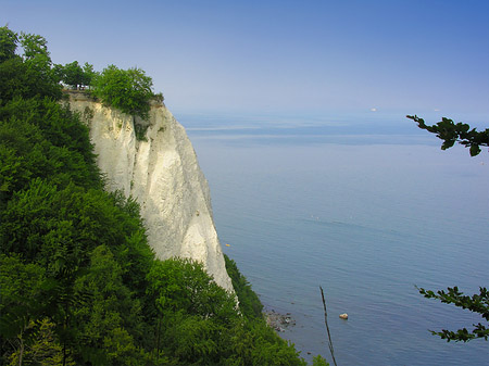 Königsstuhl Kreidefelsen