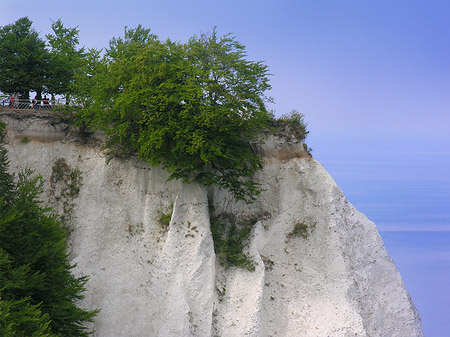 Königsstuhl Kreidefelsen