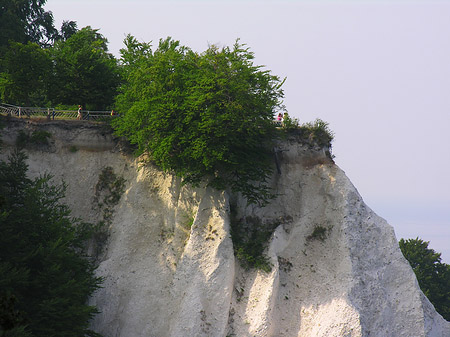 Königsstuhl Kreidefelsen