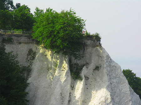 Fotos Königsstuhl Kreidefelsen | 