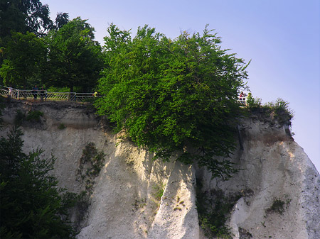 Königsstuhl Kreidefelsen
