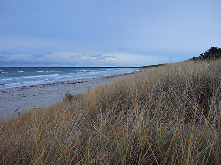 Foto Dünen