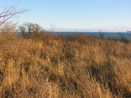 Dünen Foto 