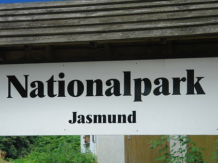 Foto Nationalpark Jasmund - Sassnitz