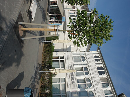 Serien Foto 