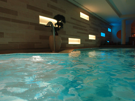 Wellness