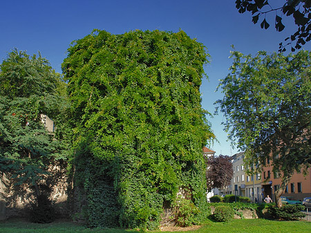 Foto Helenenturm - Köln
