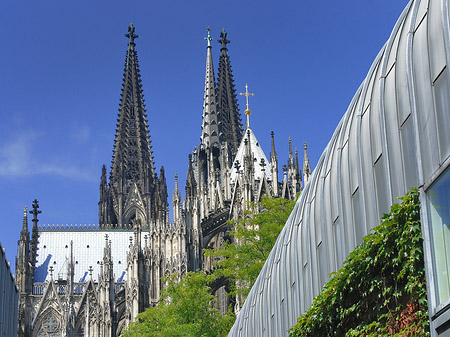 Foto Hauptbahnhof vor dem Kölner Dom