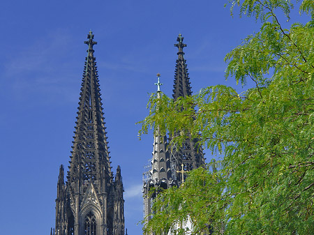 Türme des Kölner Doms