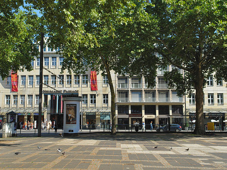 Neumarkt Fotos