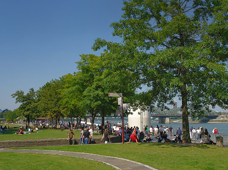 Fotos Rheingarten | Köln