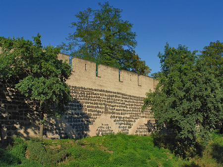 Stadtmauer am Sachsenring Fotos