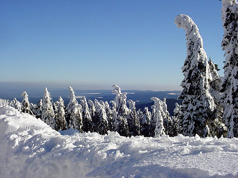 Fotos Brockenwanderung | 