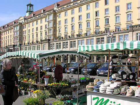 Fotos Galerie am Altmarkt | Dresden