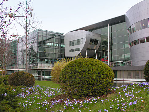 Garten an der Gläsernen Manufaktur Fotos