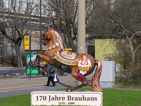 Fotos Societäts-Brauerei-Waldschlösschen | Dresden